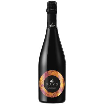 Blanc de Noir Extra Dry - Pavò - Lombardia