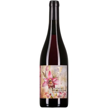 Barbera d'Asti - Tenuta Foresta - Piemonte