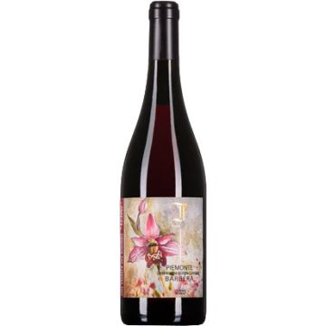 Barbera d'Asti - Tenuta Foresta - Piemonte