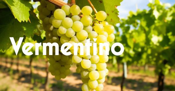 Vermentino: de mediterrane witte druif.