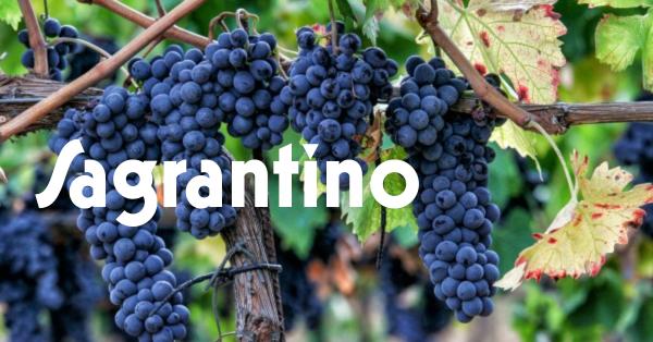 Sagrantino