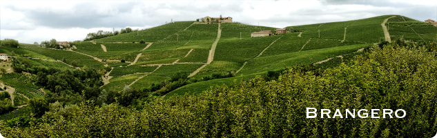 Brangero Brangero